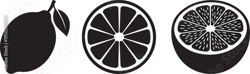 Vector graphic illustration of a lemon and two cross-sections showing segments