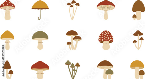 Set of colorful mushroom and fungus illustrations, flat vector icons of various forest mushrooms isolated on white background