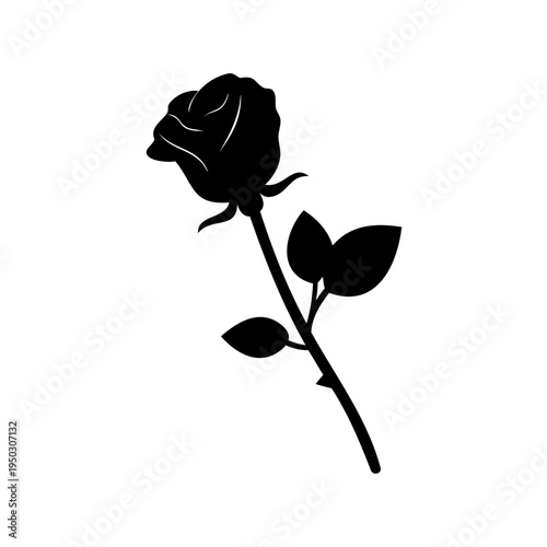 Monochrome illustration of a long stemmed rose, embodying simplicity and elegance