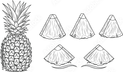 A detailed black and white line art illustration of a whole pineapple and several sliced wedges