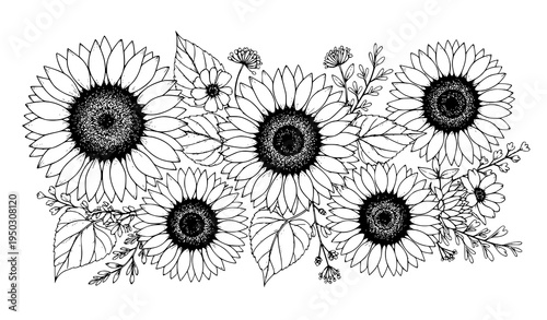 A minimalist black and white illustration of sunflowers and leaves