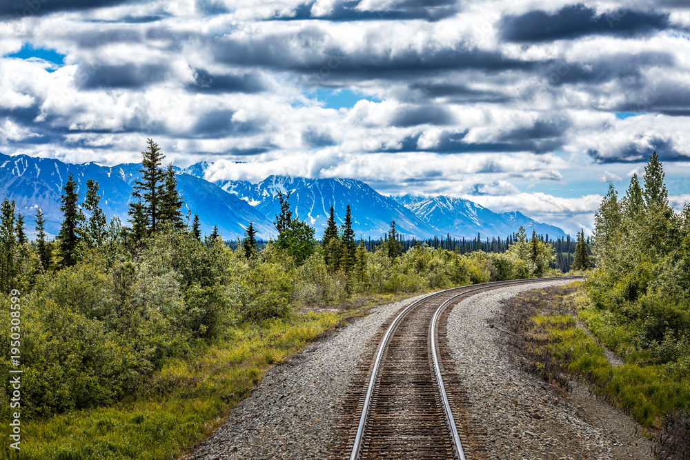 Fototapeta premium Railroad tracks leading through forest toward Denali National Park