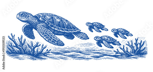 Mother Sea Turtle Swimming with Baby Turtles Underwater in Detailed Traditional Hand Drawn Vector Engraving and Line Art Style.