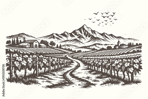 Scenic Vineyard Landscape with Path Leading to a Small Village and Mountains in Detailed Hand Drawn Vector Line Art and Engraving Style.