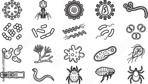 A diverse collection of detailed line art illustrations of various microbes, parasites, and viruses, offering a comprehensive look at the microscopic world.
