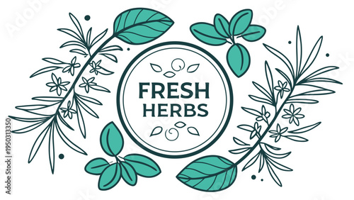 Fresh herbs lettering surrounded by decorative botanical leaves and branches hand drawn illustration