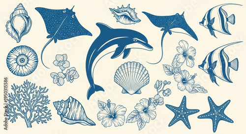 Marine Life and Tropical Floral Illustration Set - Vintage Blue Line Art