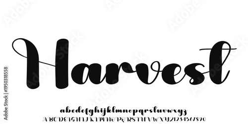 Hand drawn condensed vector font. Unique alphabet with urban style expressive, creative, and personal. Typography for poster, branding, cafe, product, and etc.	