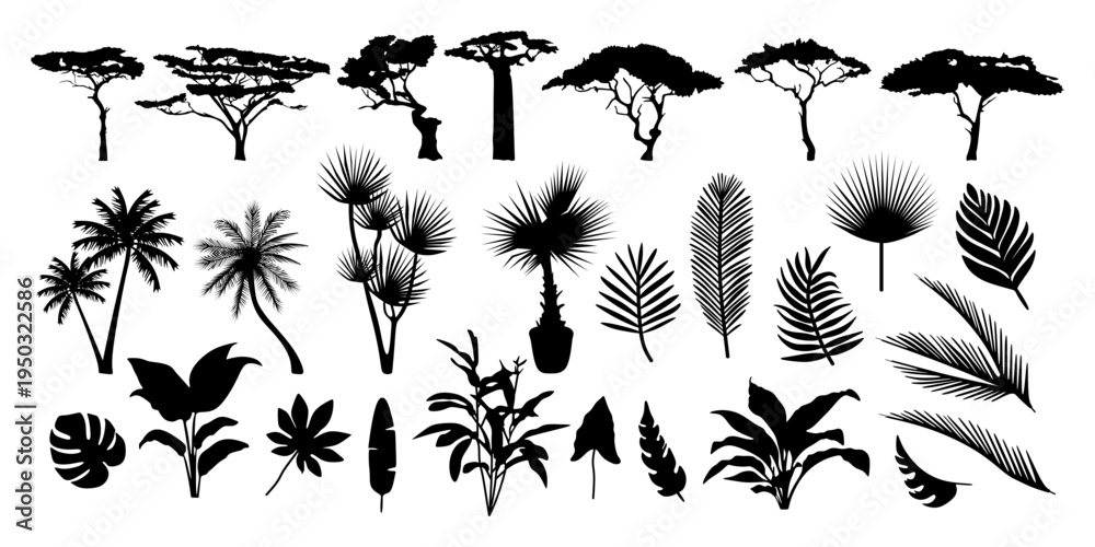 Fototapeta premium Set of black tree and tropical leaf silhouettes. Collection of exotic plants, palms and savannah flora isolated on white background. Botanical design element for nature illustration.