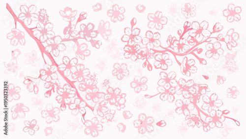 Delicate pink cherry blossoms cascade across a light airy background
