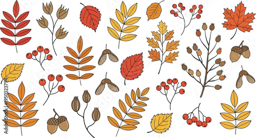 A vibrant collection of autumn leaves and berries in shades of orange, yellow, and red on a white background.