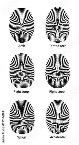 Fingerprint Patterns: Arch, Tented Arch, Loop, Whorl, Accidental - Forensic Science
