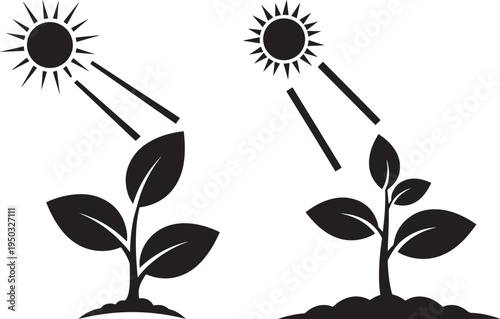Two black icons showing plants growing towards the sun, representing photosynthesis or growth, Black And White, Organic Growth, Plant Life, Natural Process, Life Cycle