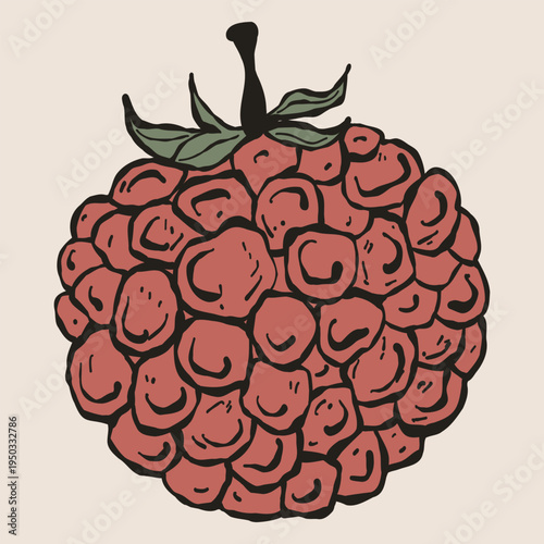 Detailed Hand-Drawn Raspberry Fruit Illustration. Organic Berry Artwork for Wellness Branding, Healthy Bowl Menus, and Sustainable Jam Packaging. Earthy Red Vintage Aesthetic