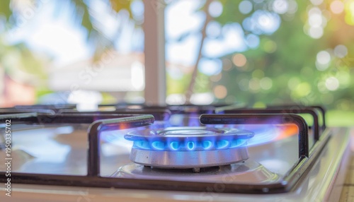 A close-up of a gas stove burner with a vibrant blue flame, set against a blurred outdoor background, highlighting cooking and home life.