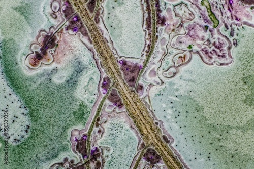 Microphotograph of a polished tinguaite slice. Scale of shooting 10X. Frame width 6 mm