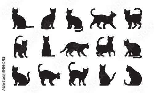 Diverse feline silhouette set featuring fifteen black cat icons in various natural stances on white background