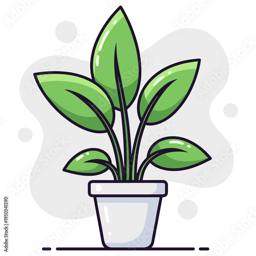 Potted house plant with broad leaves on white background. non editable strokes