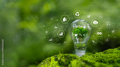 Sustainable Environment concept. ESG, green energy. Carbon emission low neutral, net zero, renewable energy, Green business,EV energy, Climate neutral long term strategy on a green background.