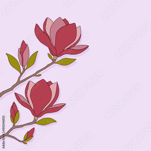 Magnolia flower on branch with bud. Botanical illustration of spring plant. Floral background with blooming petal for seasonal greeting card, wallpaper, wedding invitation, design element.