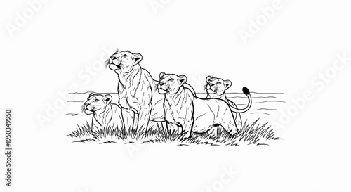 A family of lions stand alert in the tall grass by a body of water