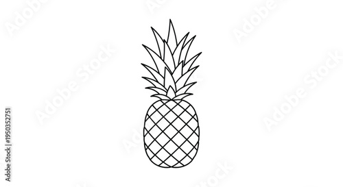Vector illustration of simple line art drawing of a pineapple fruit icon