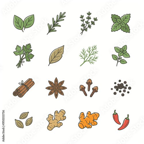 A vibrant collection of hand-drawn illustrations showcasing a variety of common culinary herbs and aromatic spices, arranged in a clear grid.