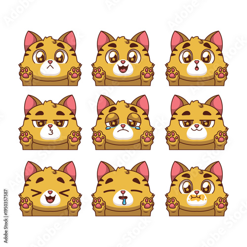 Orange tabby cat with various facial expressions