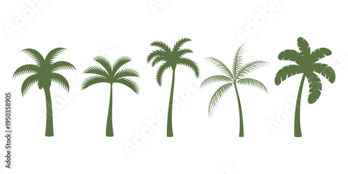 A collection of five distinct green palm tree silhouettes featuring various leaf and trunk styles Vector