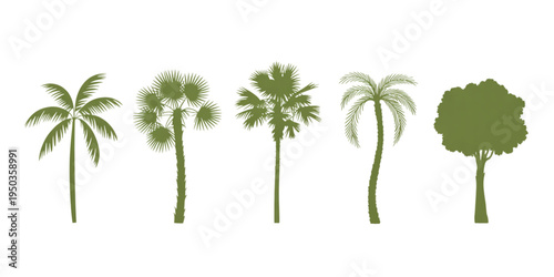 A collection of five different green tropical palm trees and a leafy tree in a flat silhouette Vector