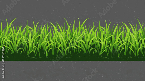 Vibrant green grass border with dense blades on dark background vector illustration