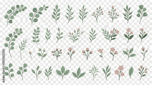 Delicate spring leaves and stems clipart set with pink blossoms and green foliage arranged on a transparent background for vector design
