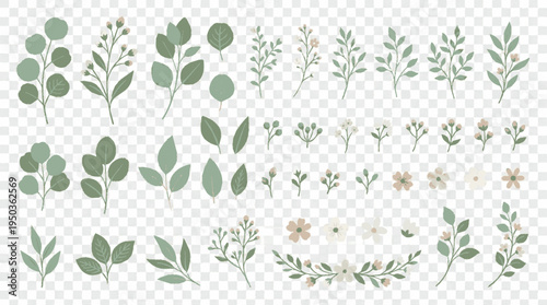 Green botanical illustration of leaves stems and branches in minimalist style with delicate white flowers