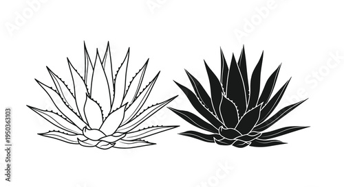 A striking black and white illustration depicts two agave plants showcasing their distinctive spiky leaves and symmetrical forms high quality professional