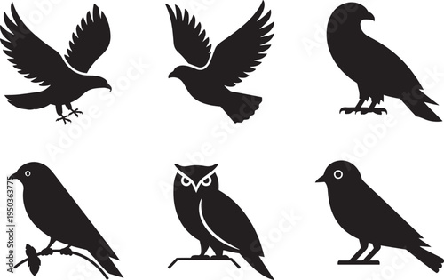 black silhouettes of various birds in different poses on white background