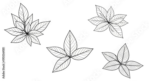 Hand-drawn botanical illustration of leaves, isolated on white background, elegant sketch.