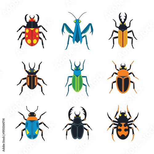 Collection of Colorful Insect Illustrations: Beetles, Praying Mantis, Spider, and More