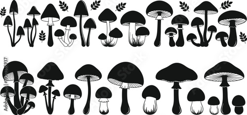 Mushroom silhouette illustration collection, fungal diversity artwork, botanical decorative chart, mycology study reference, 