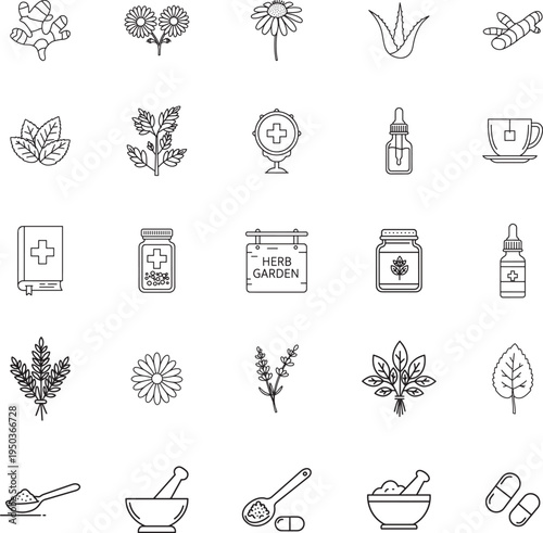 Herbal & Natural Medicine Outline Set