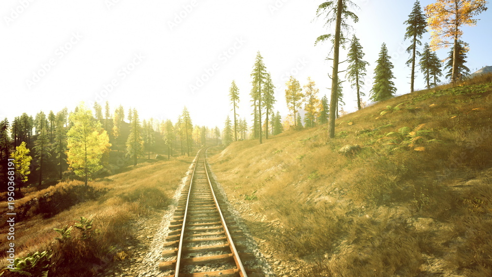 Obraz premium Sunlit railway tracks cutting through hillside, pine trees lining slope, tall grass and scattered autumn foliage, warm golden glow of late afternoon, long