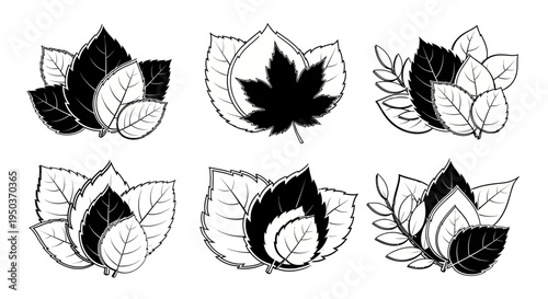 Set of stylized leaf emblems, nature icons, black and white, vector graphics