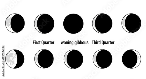 Phases of the Moon: Visual Guide to Lunar Cycle from New Moon to Full Moon