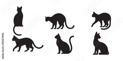 Six black cat silhouettes in various poses sitting walking standing on white background studio