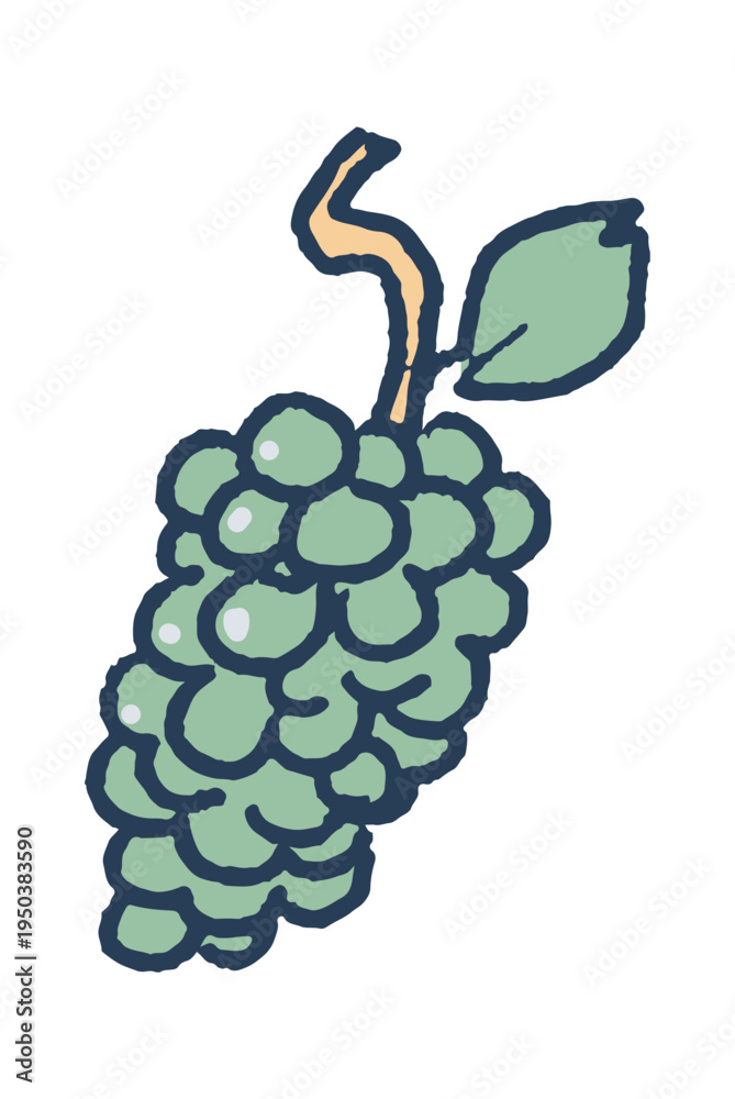 Naklejka premium Green juicy grapes Greek garden