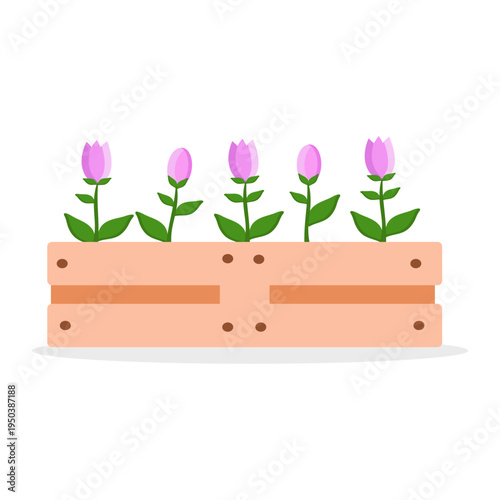 Cute wooden planter box with blooming flowers and green leaves. Gardening and spring decoration concept isolated on white background.