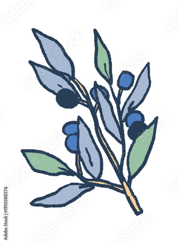 Olive branch Greek garden plant