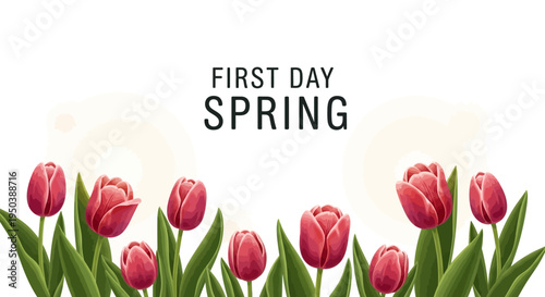 Colorful illustration of blooming pink tulips on a white background celebrating the first day of spring with a floral decoration for the March Equinox or spring equinox season