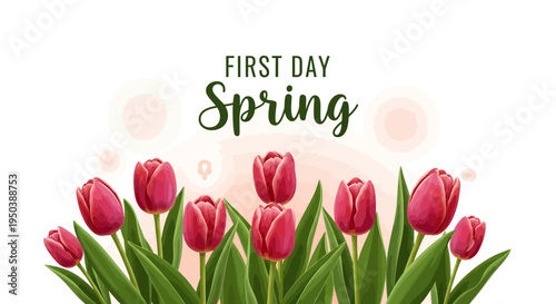 Vector illustration of vibrant pink tulips with green leaves and colorful decoration on a soft peach background celebrating the March Equinox or First Day of Spring with a floral blossom