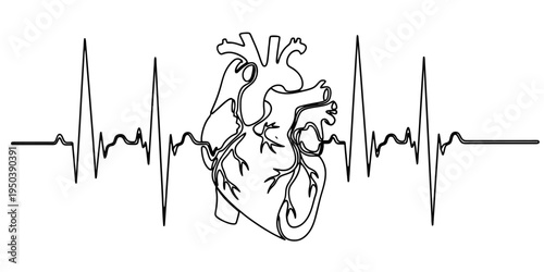 Continuous One Line Drawing of Human Heart With Heartbeat Waveform