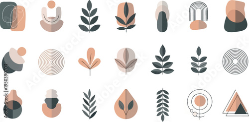 Collection of abstract shapes and botanical elements in muted earth tones